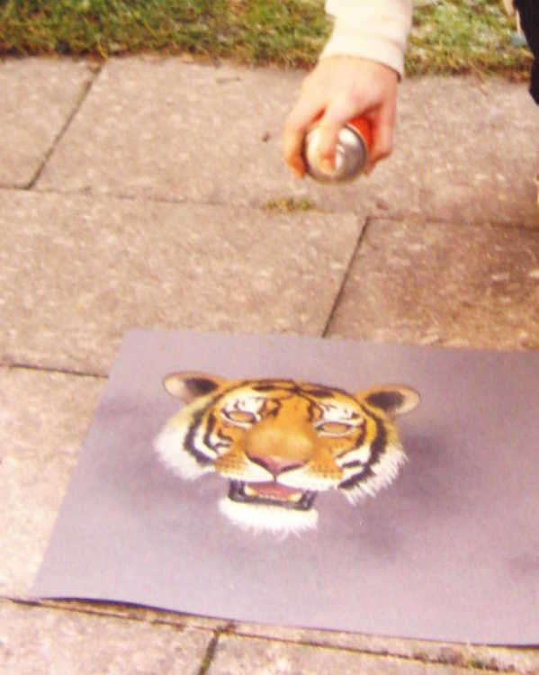 Tiger Pastellkreide Fixativ
