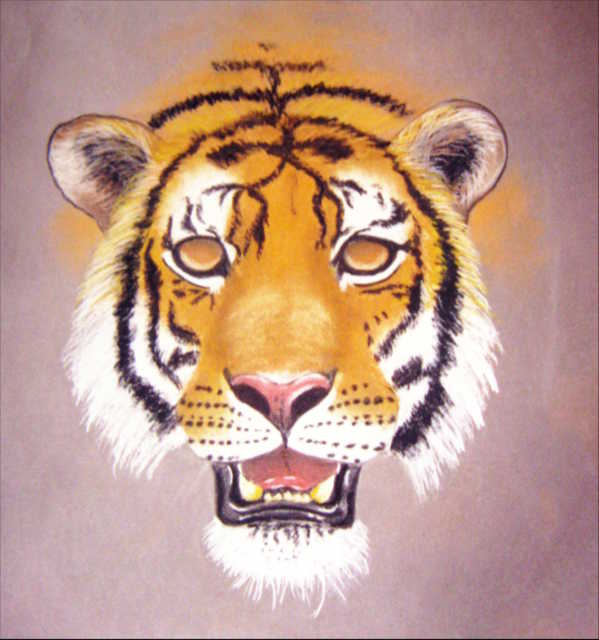Tiger zeichnen Pastellkreide