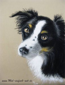 Hund Zeichnung Pastellkreide Shepherd Collie