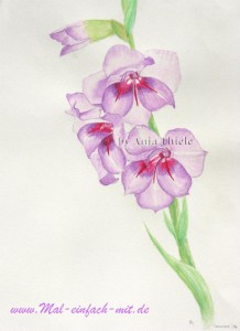 Gladiolen Aquarell Bild Blume