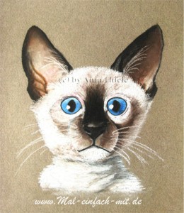Babykatze Pastellkreide Zeichnung