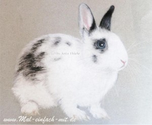 Kaninchen Zeichnung Pastellkreide
